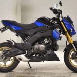 KAWASAKI Z125PRO